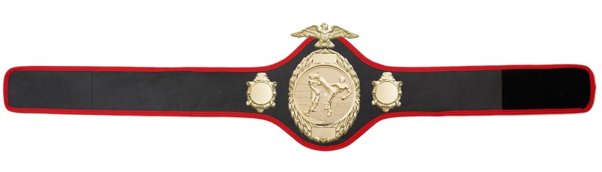KICKBOXING CHAMPIONSHIP BELT-PRO288/G/KBOG - 10 COLOURS KICKBOXING CHAMPIONSHIP BELT-PRO288/G/KBOG - 10 COLOURS